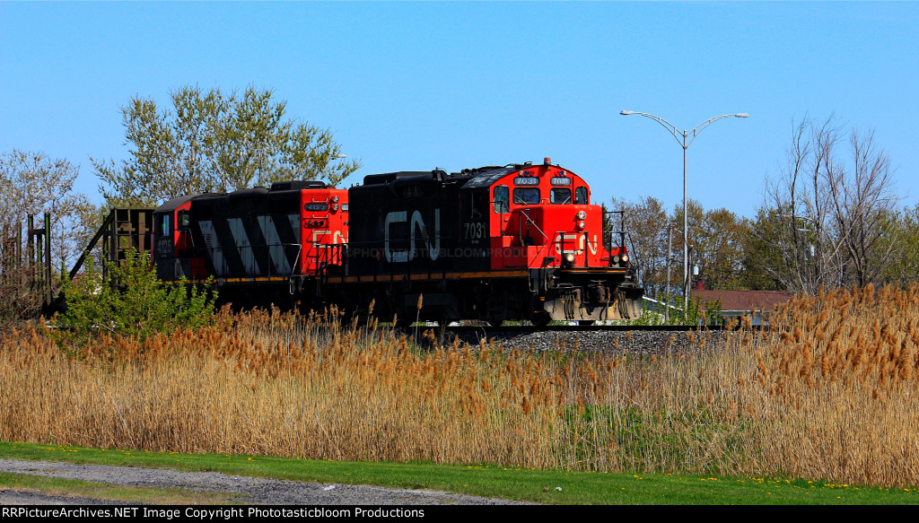 CN 7031